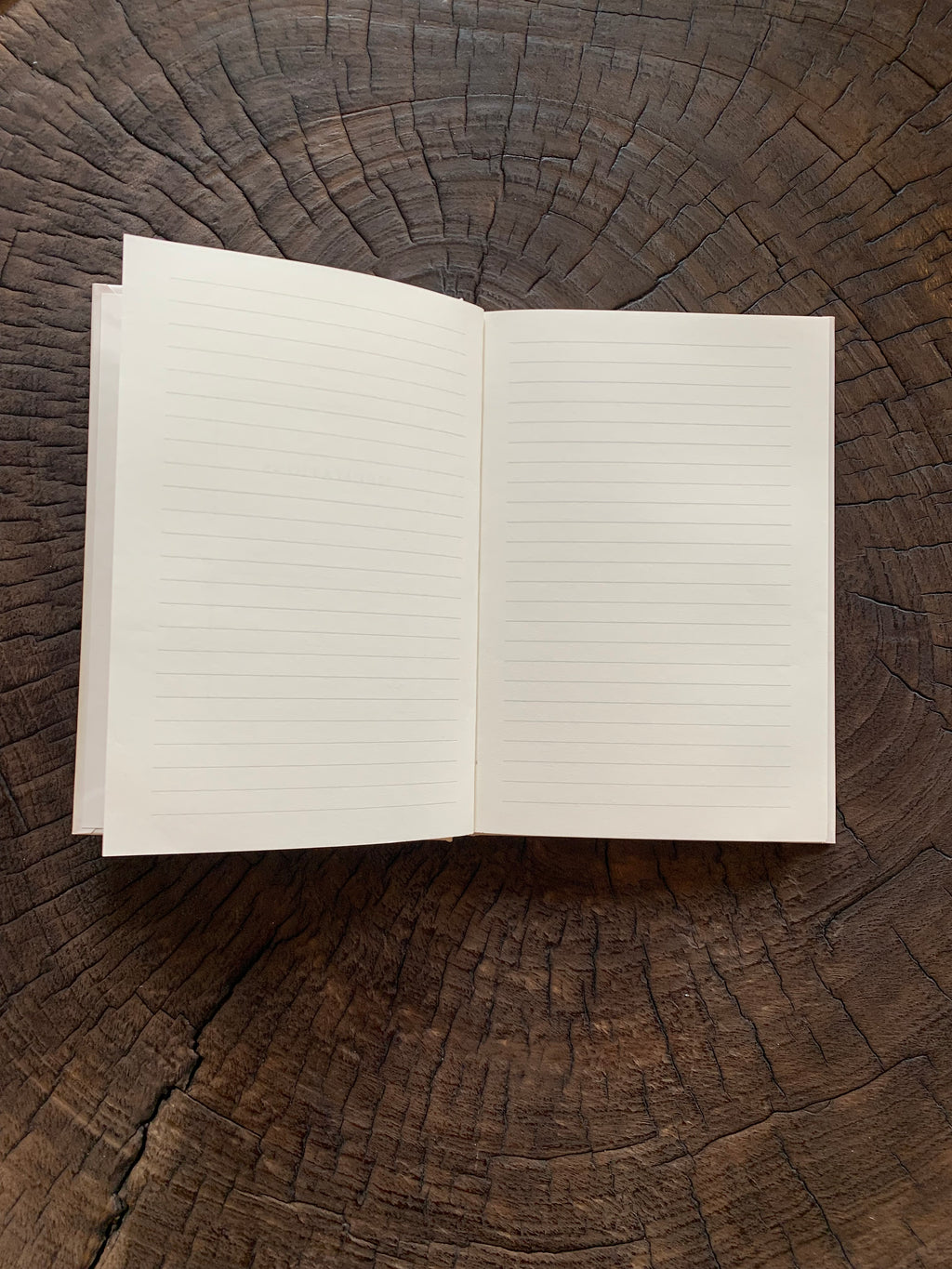 Meditations Journal
