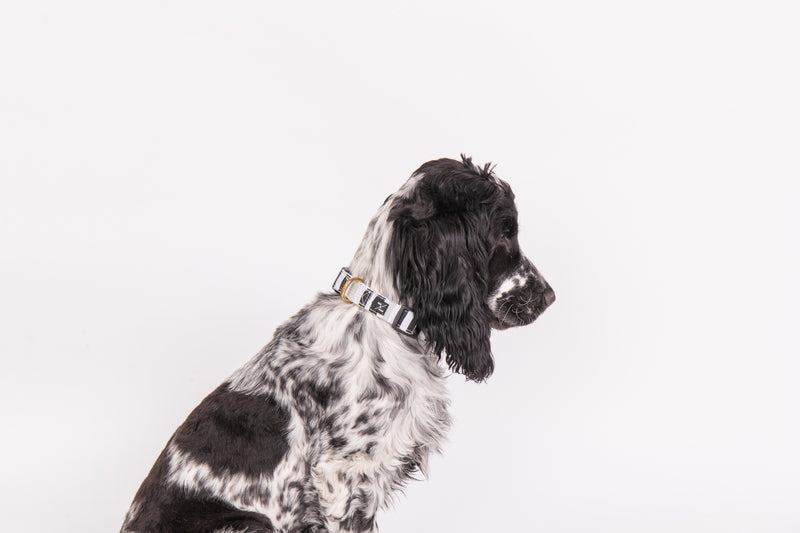 Hemp Dog Collar Pebble Black Brushstroke